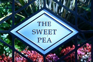 SweetPea